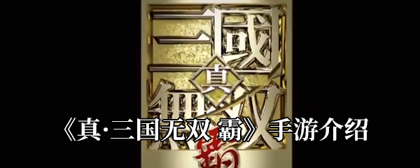 《真·三国无双 霸》手游介绍