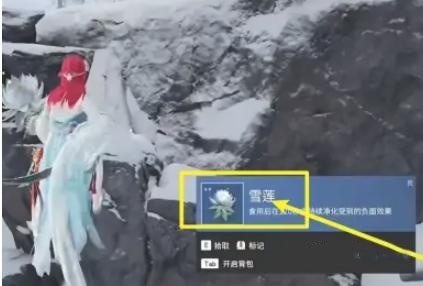 永劫无间雪莲村位置一览