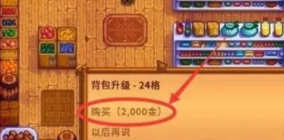 星露谷物语背包扩充攻略