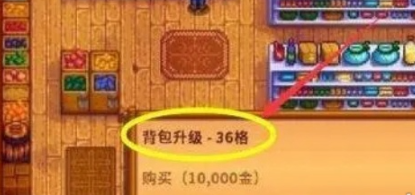 星露谷物语背包扩充攻略
