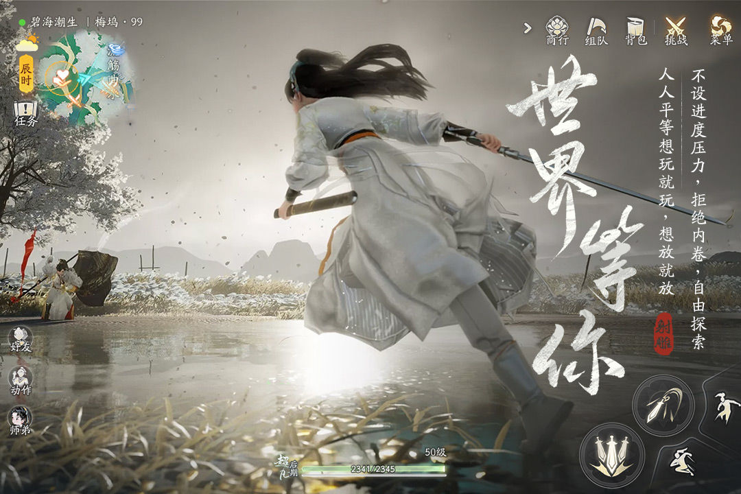射雕