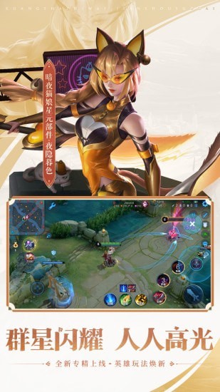 王者荣耀体验服游戏截图-5