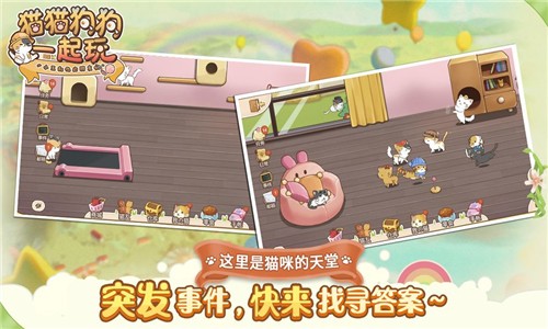 猫猫狗狗一起玩游戏截图-2