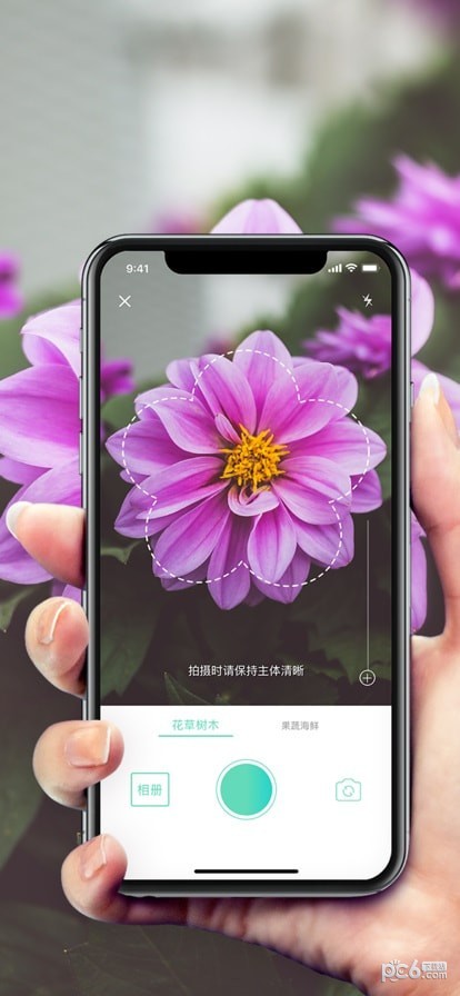 形色识花应用截图-2