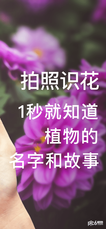 形色识花应用截图-1