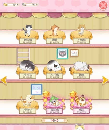 猫宅日记游戏截图-3