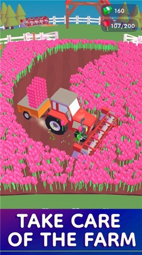 我的郁金香农场游戏截图-3