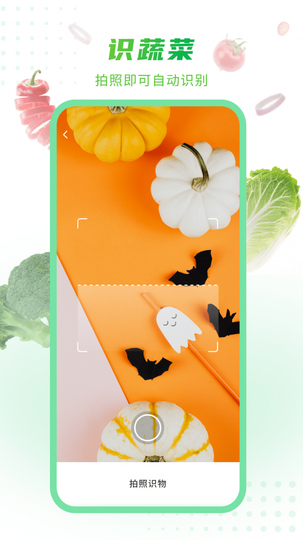 有机蔬菜大全应用截图-1