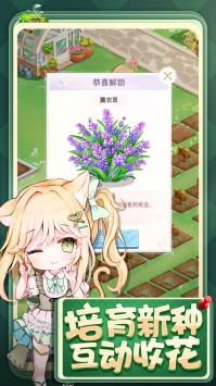 浪漫花田园截图2