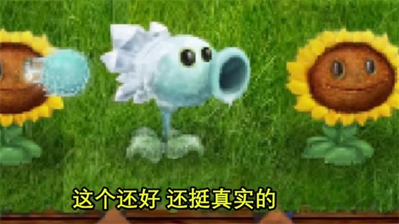 植物大战僵尸现实版 手机版游戏截图-3