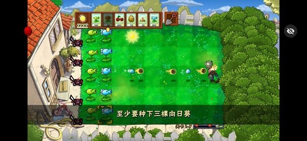 PvZ活死人之园TV触屏版截图1