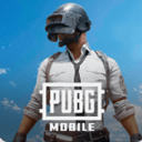Pubg 手游地铁逃生国际服