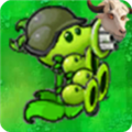 植物大战僵尸指导版 正版