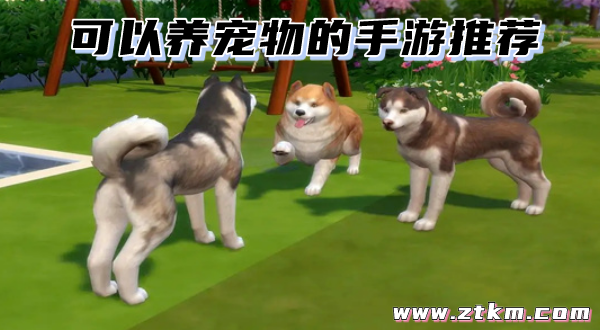 可以养宠物的手游推荐