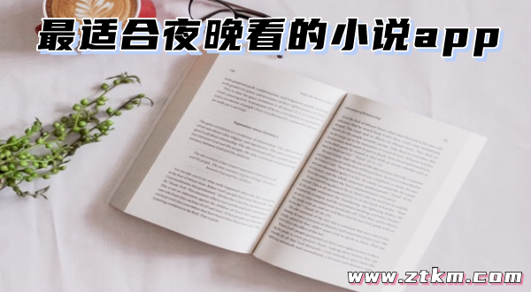 最适合夜晚看的小说app