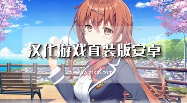 汉化游戏直装版安卓