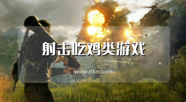 射击吃鸡类游戏