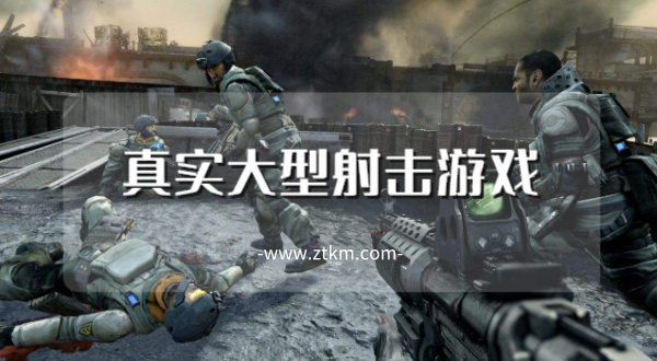 真实大型射击游戏