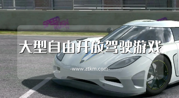 大型自由开放驾驶游戏